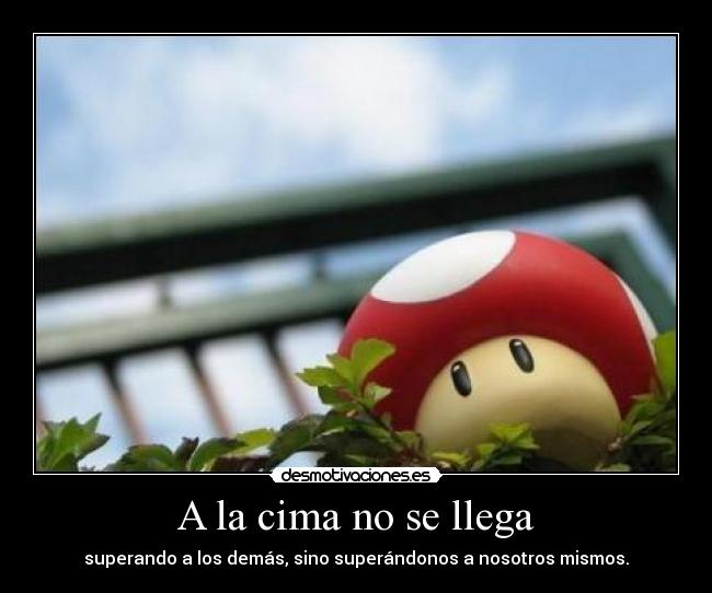 A la cima no se llega - 