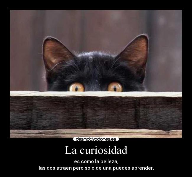 La curiosidad - es como la belleza,
las dos atraen pero solo de una puedes aprender.