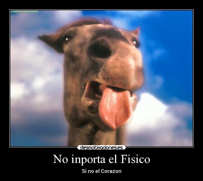 No inporta el Fisico - 