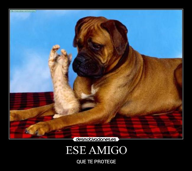 ESE AMIGO - QUE TE PROTEGE