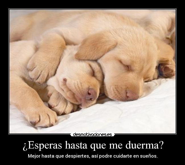¿Esperas hasta que me duerma? - Mejor hasta que despiertes, así podre cuidarte en sueños.