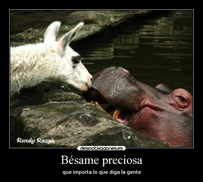 Bésame preciosa - que importa lo que diga la gente