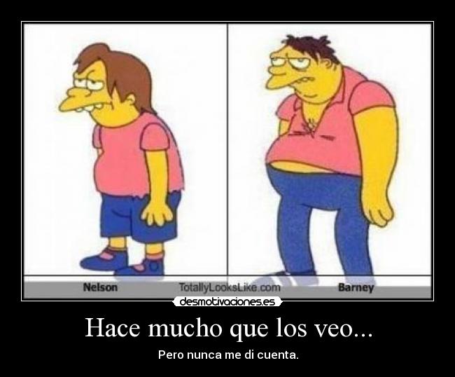 Hace mucho que los veo... - 