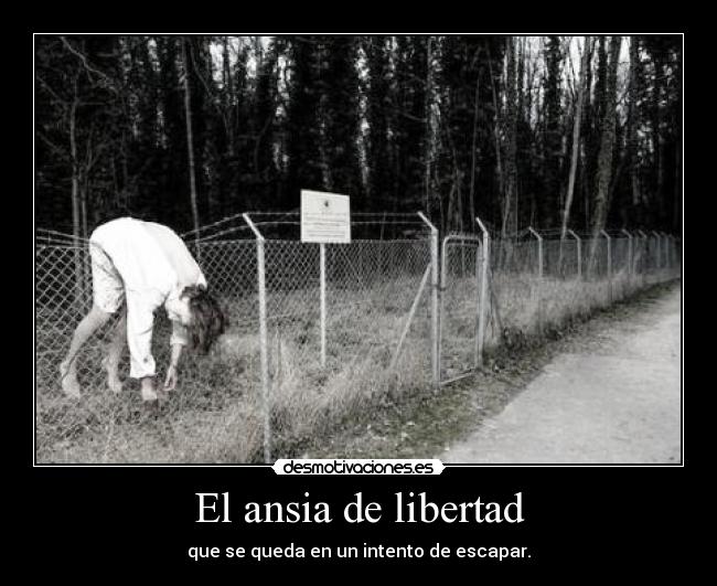 El ansia de libertad - que se queda en un intento de escapar.