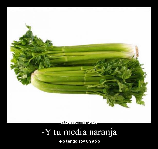 -Y tu media naranja -
