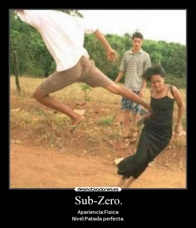 Sub-Zero. - Apariencia:Fisica
Nivel:Patada perfecta.