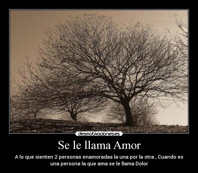 Se le llama Amor - A lo que sienten 2 personas enamoradas la una por la otra , Cuando es
una persona la que ama se le llama Dolor