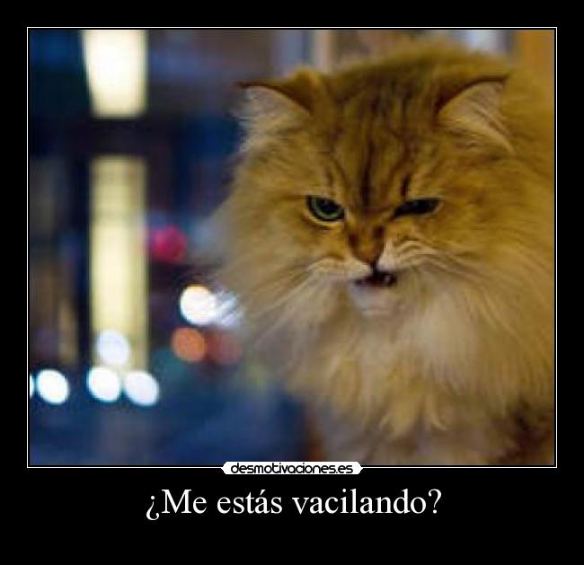 ¿Me estás vacilando? - 