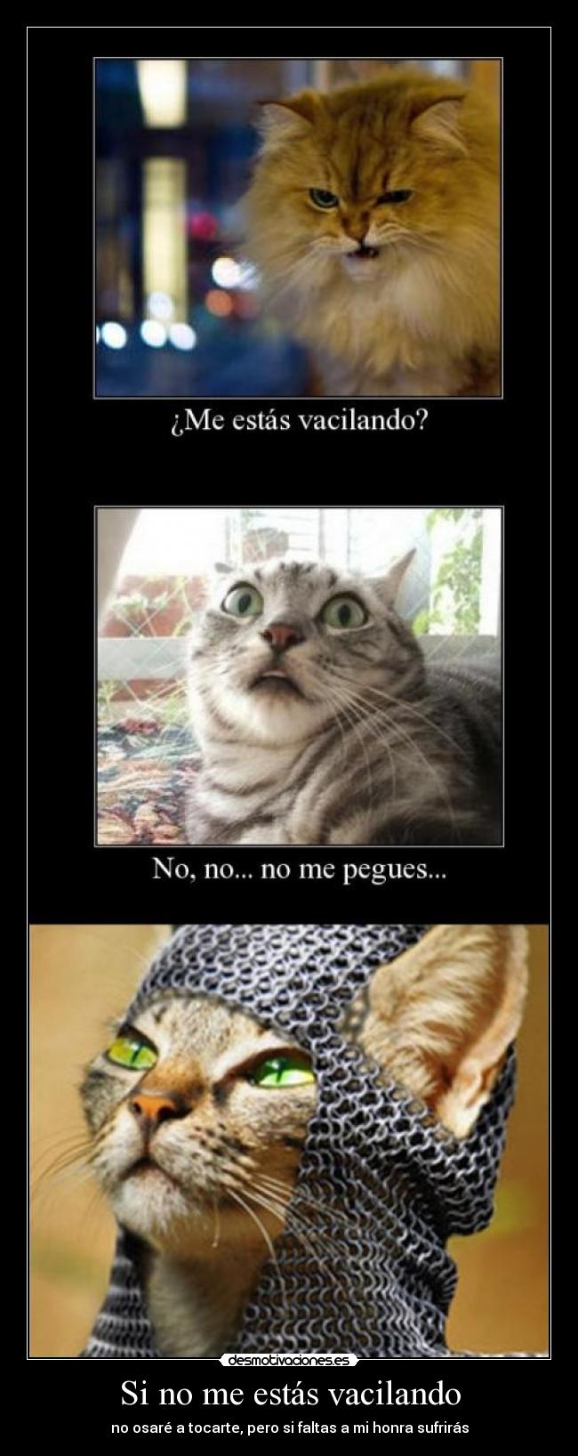 Si no me estás vacilando - no osaré a tocarte, pero si faltas a mi honra sufrirás