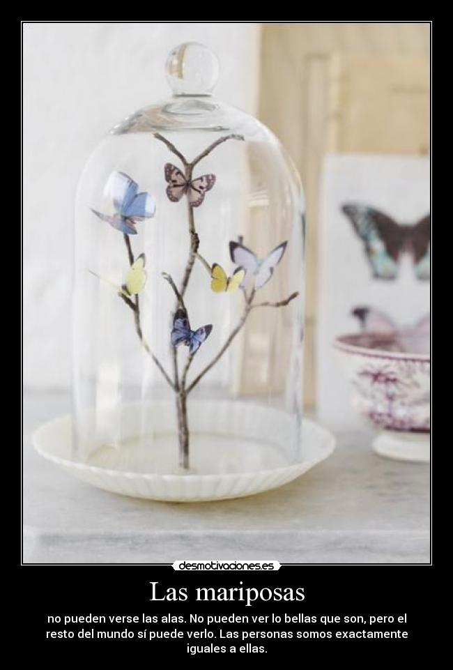 Las mariposas - 