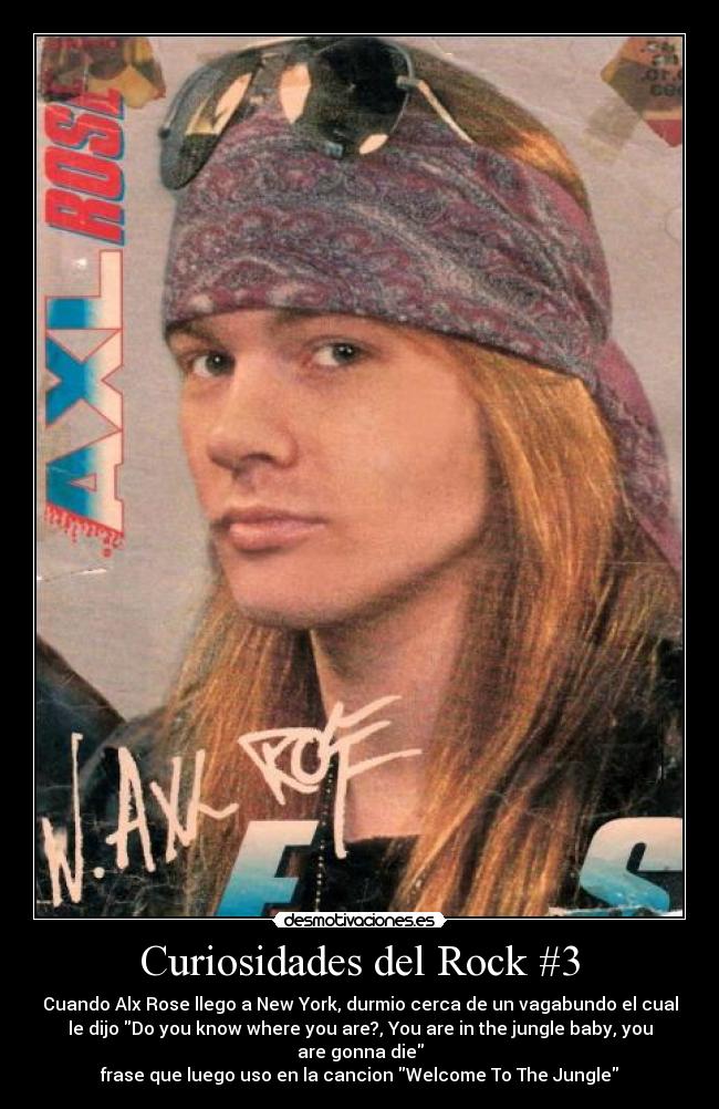 Curiosidades del Rock #3 - Cuando Alx Rose llego a New York, durmio cerca de un vagabundo el cual
le dijo Do you know where you are?, You are in the jungle baby, you
are gonna die
frase que luego uso en la cancion Welcome To The Jungle