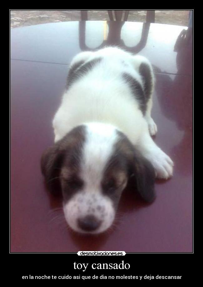 toy cansado -