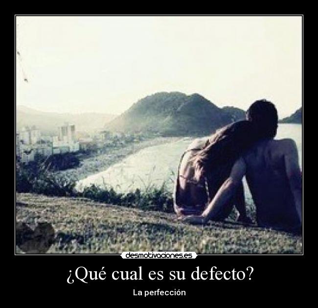 ¿Qué cual es su defecto? - La perfección