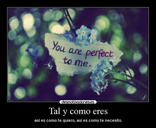 Imagenes Te Amo Tal Y Como Eres | te amo tal y como eres desmotivaciones auto design tech Imagenes Te Amo Tal Y Como Eres | te amo tal y como eres desmotivaciones auto design tech