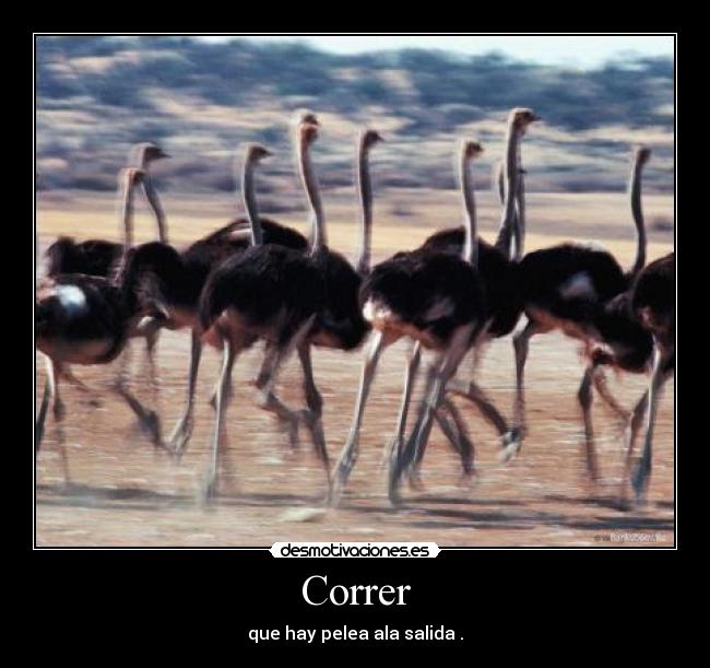 Correr - 