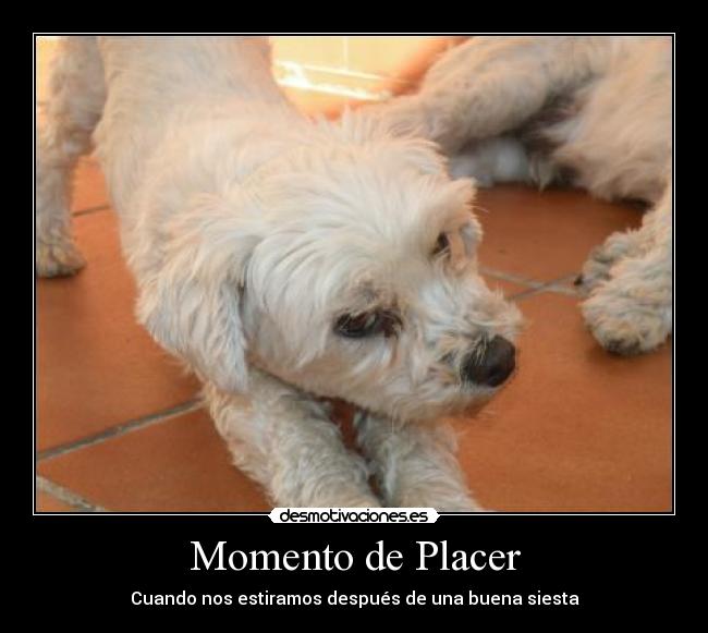 Momento de Placer -
