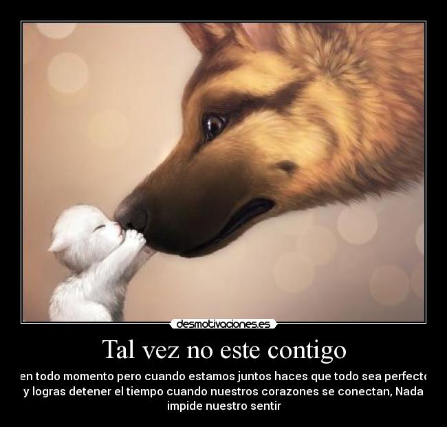 Tal vez no este contigo - 