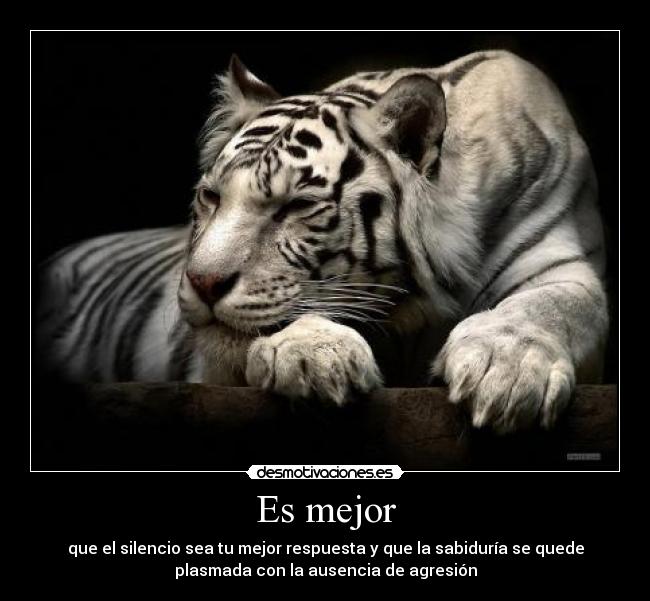 Es mejor - que el silencio sea tu mejor respuesta y que la sabiduría se quede
plasmada con la ausencia de agresión