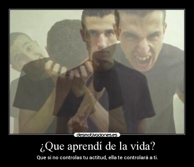 carteles vida yumii yumii desmotivaciones