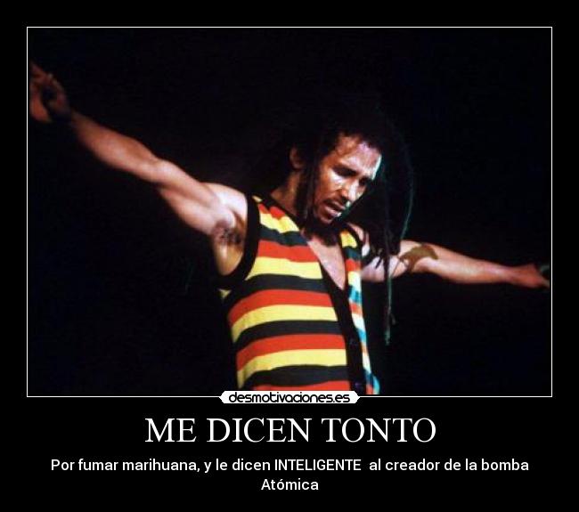 carteles tonto comovos desmotivaciones