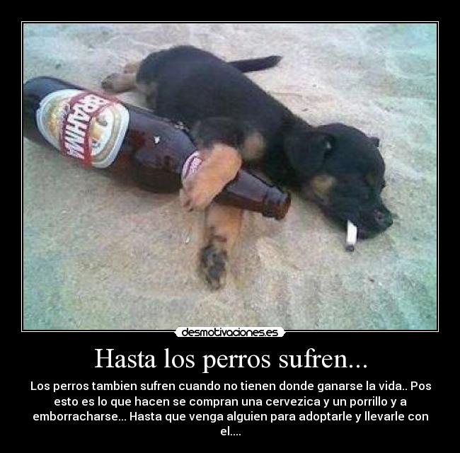 carteles jaime desmotivaciones