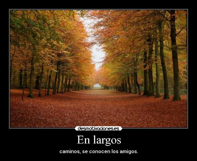 carteles royman desmotivaciones