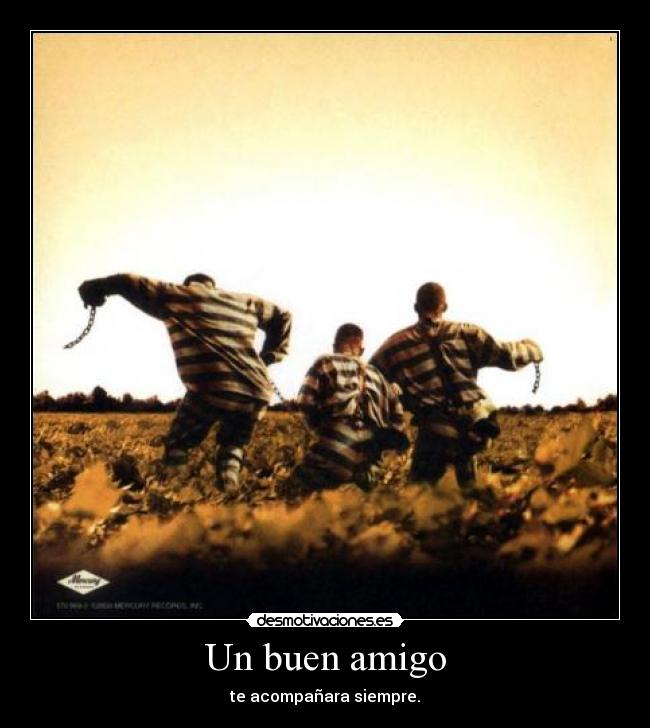 Un buen amigo - 