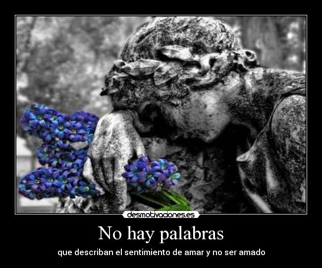 No hay palabras - que describan el sentimiento de amar y no ser amado