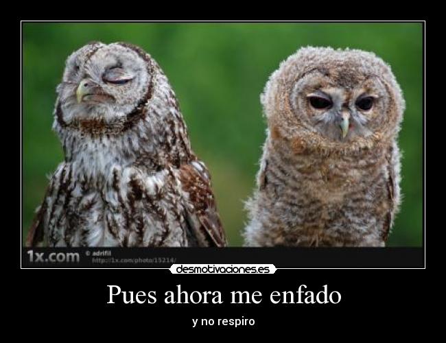 Pues ahora me enfado - 