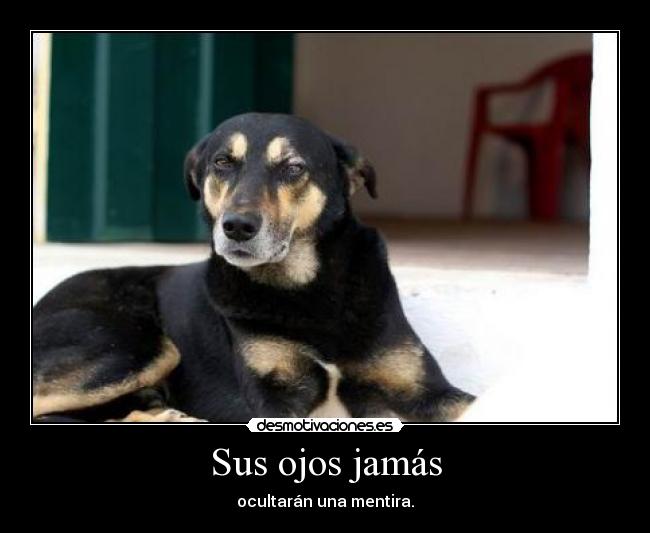 Sus ojos jamás -