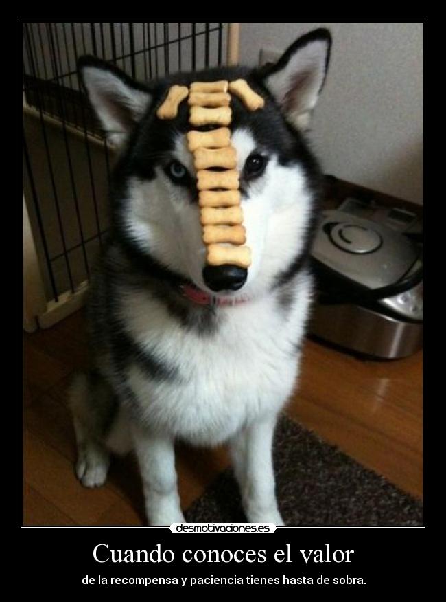 carteles bulma272 lel prueba tipico mi estos carteles puntopuntopunto desmotivaciones