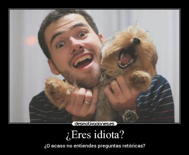 ¿Eres idiota? - ¿O acaso no entiendes preguntas retóricas?