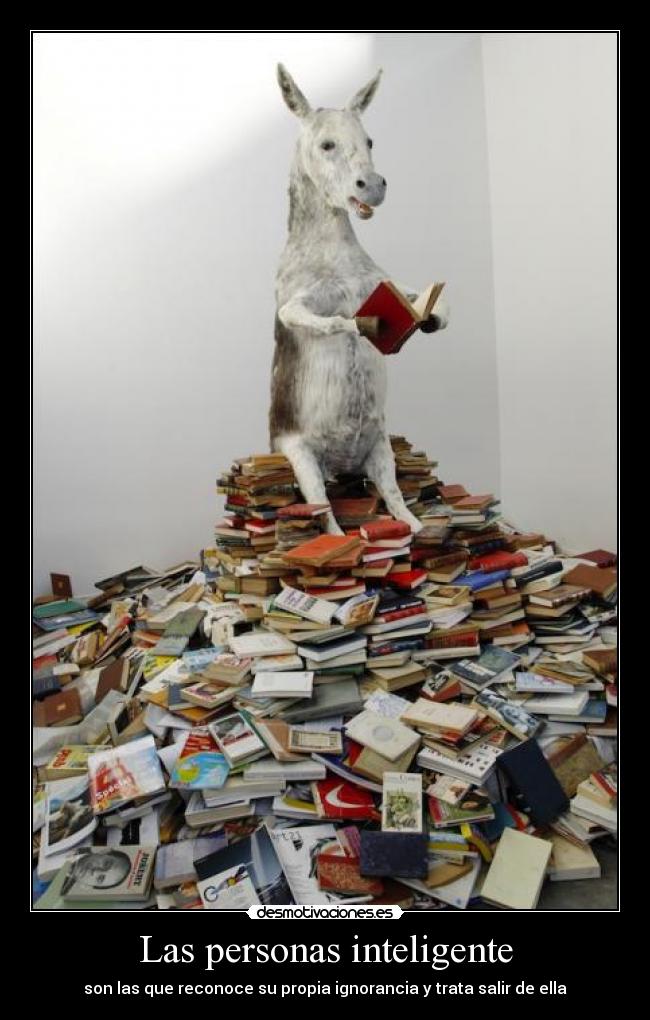 Las personas inteligente - 