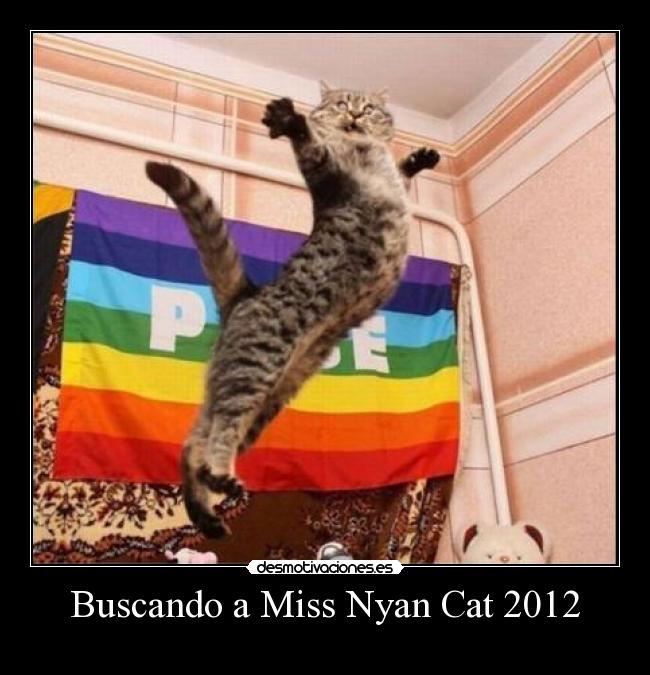 Buscando a Miss Nyan Cat 2012 - 