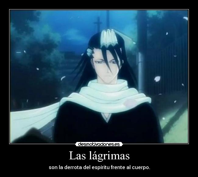 carteles bleach byakuya desmotivaciones