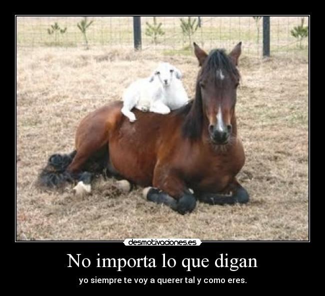 No importa lo que digan - 