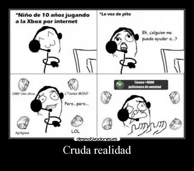 Cruda realidad - 