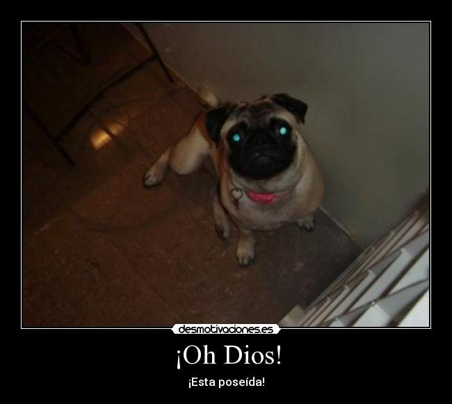 ¡Oh Dios! - ¡Esta poseída!