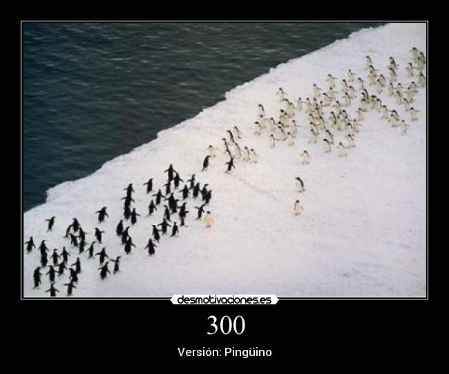 300 - Versión: Pingüino