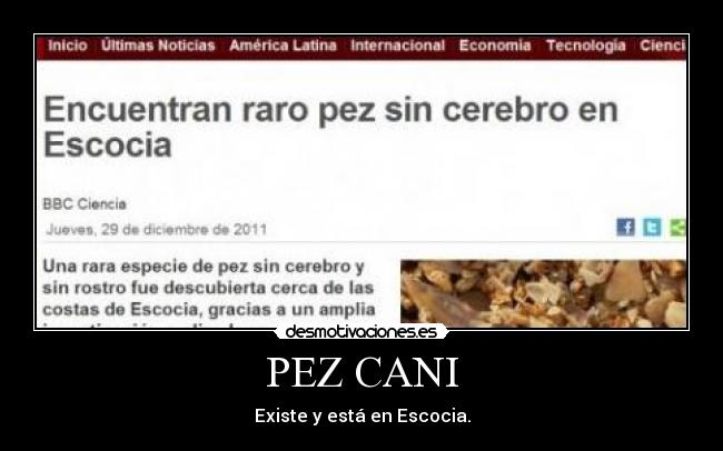 PEZ CANI - 