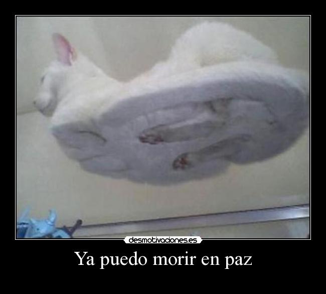 Ya puedo morir en paz - 