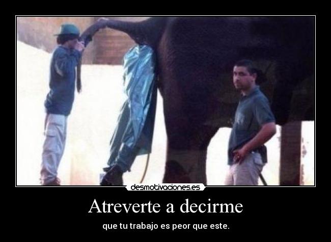 Atreverte a decirme -