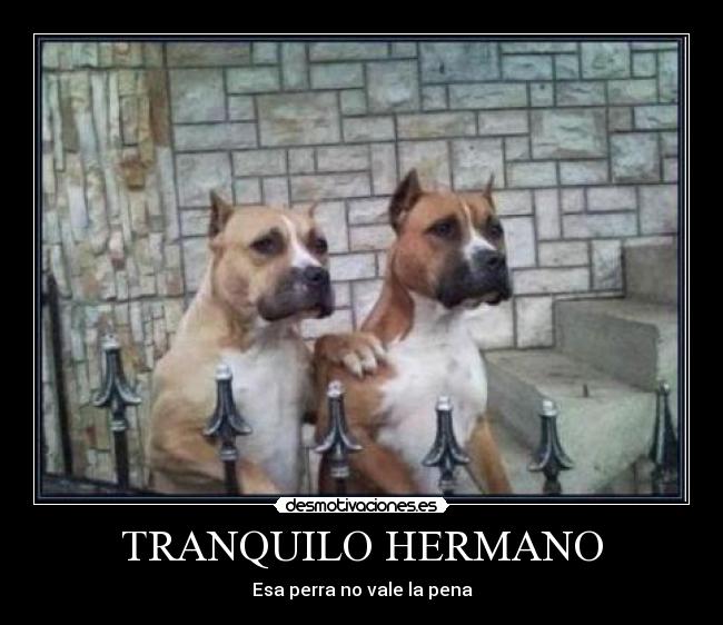 TRANQUILO HERMANO -