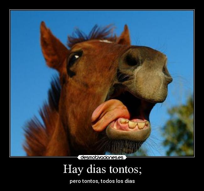 Hay dias tontos; - 