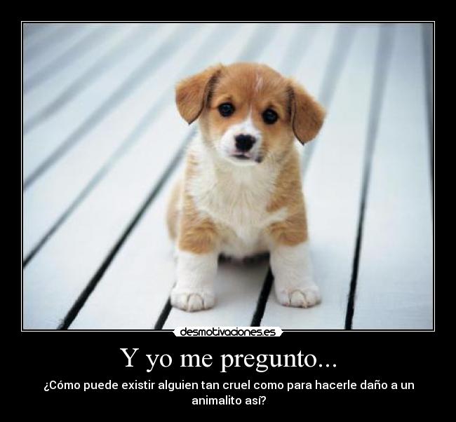 Y yo me pregunto... -