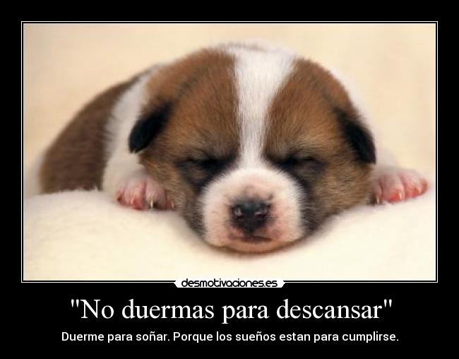 No duermas para descansar - Duerme para soñar. Porque los sueños estan para cumplirse.
