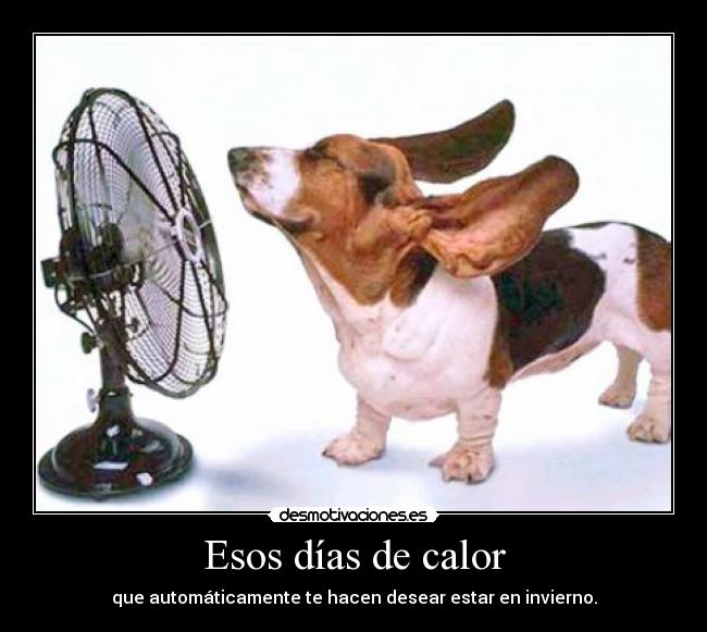 carteles aguanto calor desmotivaciones