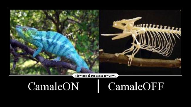 CamaleON     │  CamaleOFF - 