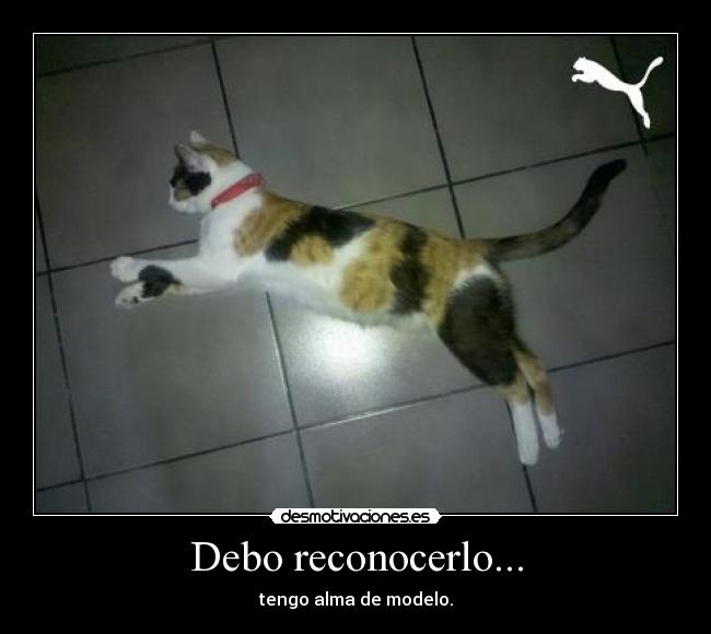 Debo reconocerlo... - tengo alma de modelo.