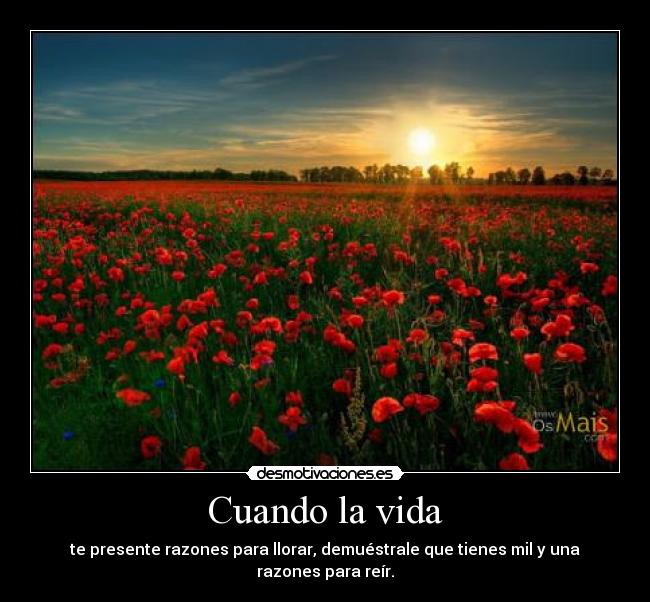 Cuando la vida - 